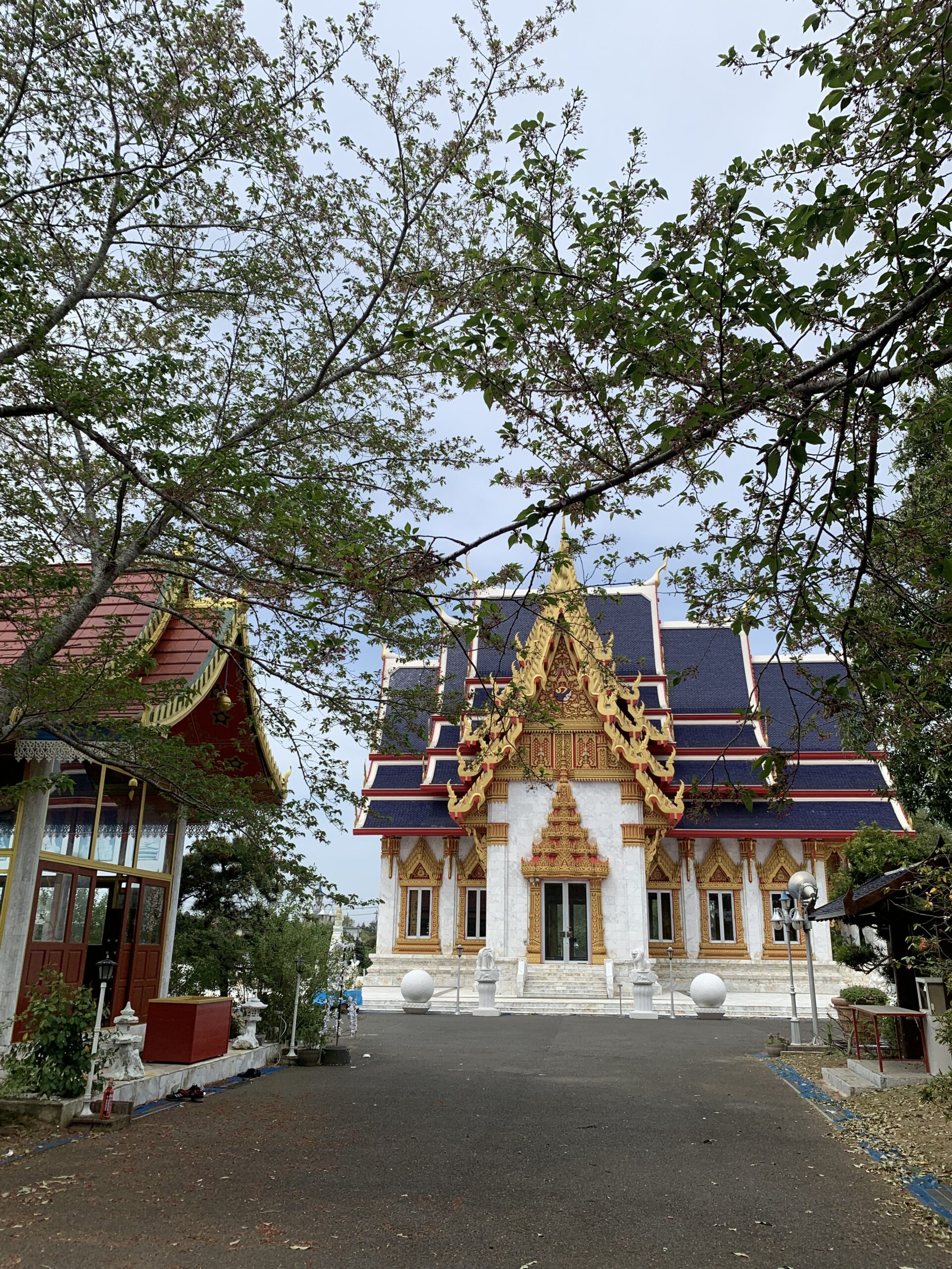成田市にも立派なタイの寺院があるんですねビアンブアマンション