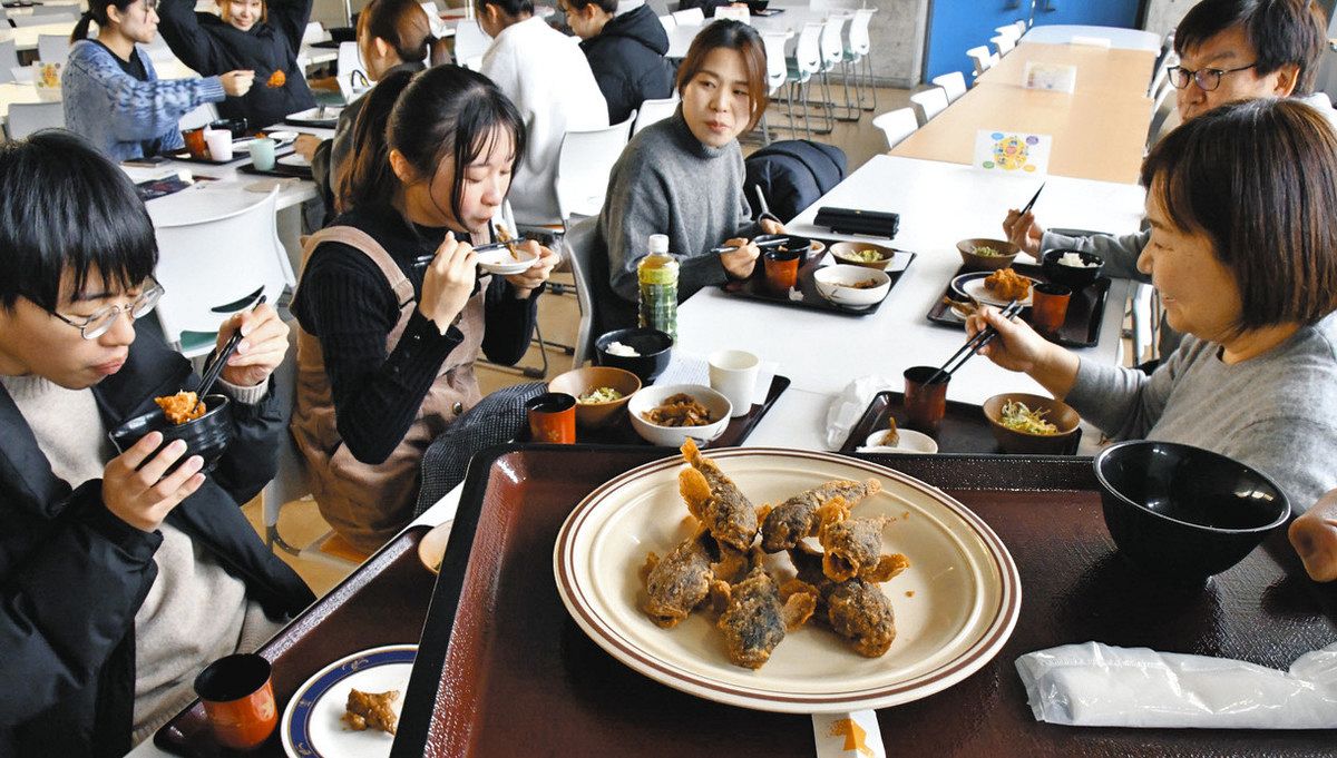 アラレガコ鳴鹿大堰わくわくリバー館さぎり屋私の好きな福井県2024エバ漁fukuijapan福井福井グルメ福井 ランチ