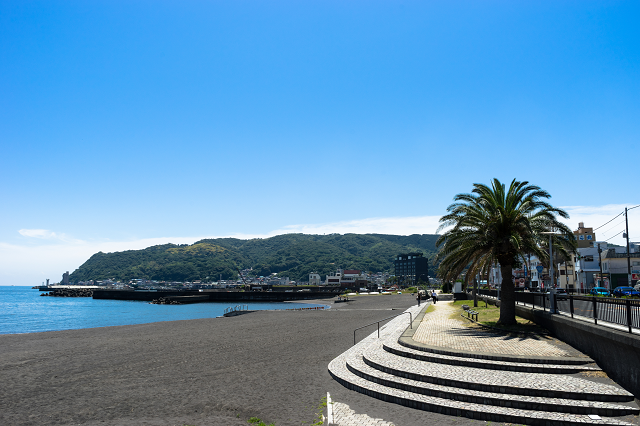 大自然のレジャーとバラエティ豊かな遊び場をハシゴ！伊豆高原・伊東のおすすめスポット5選！るるぶ&more