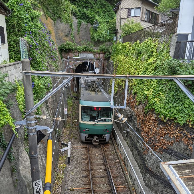 極楽寺。藁葺き屋根の山門に風情を感じる鎌倉トリップ日帰りで紅葉の鎌倉へ