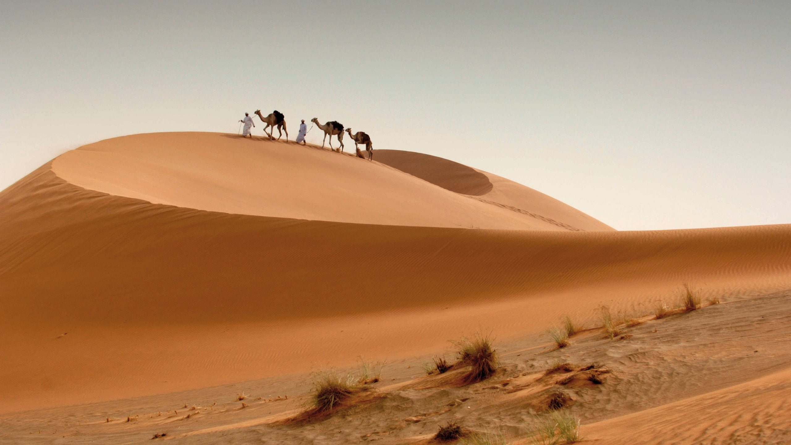 2025 アブダビ：ラクダとサンドボードを楽しむ朝の砂漠サファリ、提供元：Oceanair Travelsアラブ首長国連邦