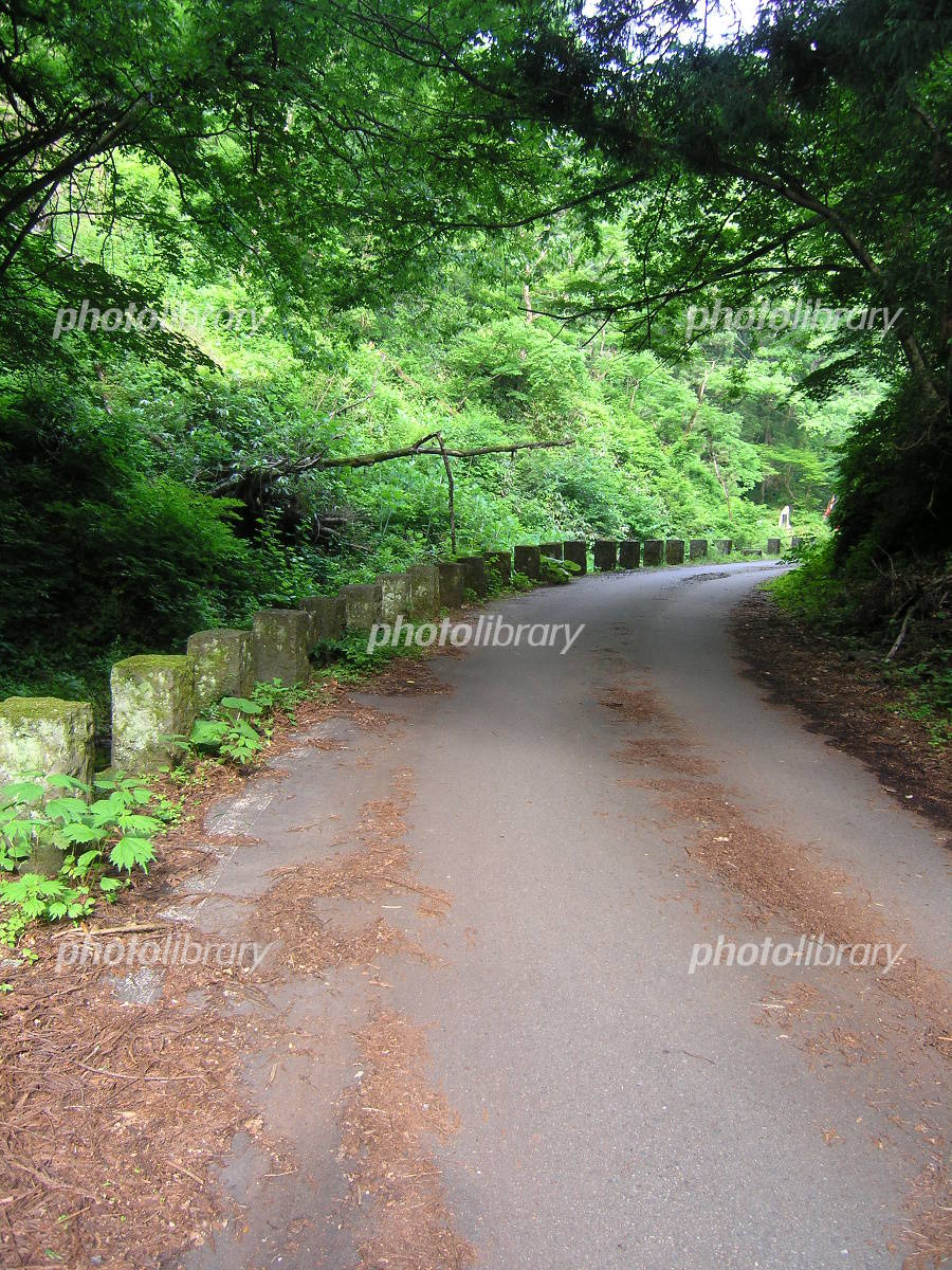 都市部での運転狭い道や駐車もスムーズにこなすコツ