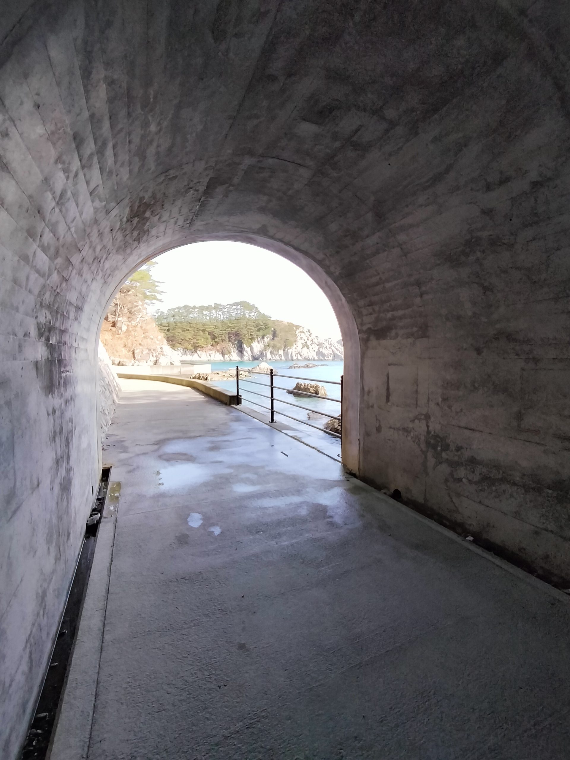 夏の絶景！ニノ浜海岸トンネルの魅力