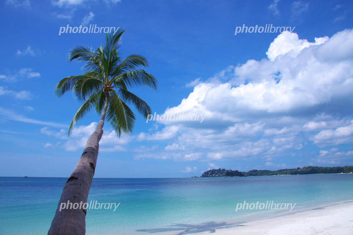 ビンタン島完全ガイド：シンガポールからアクセスする穴場リゾート