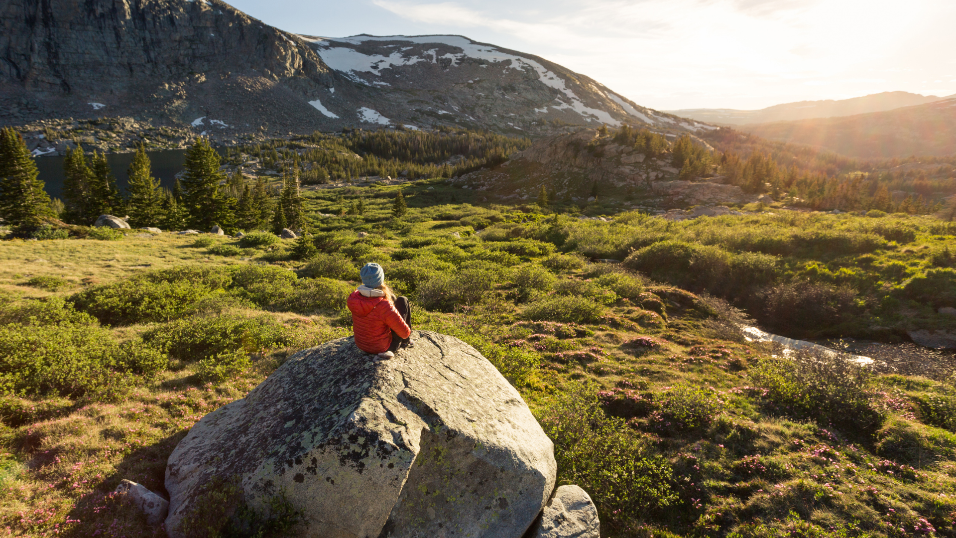 ワイオミング州の市場調査SIS International Research