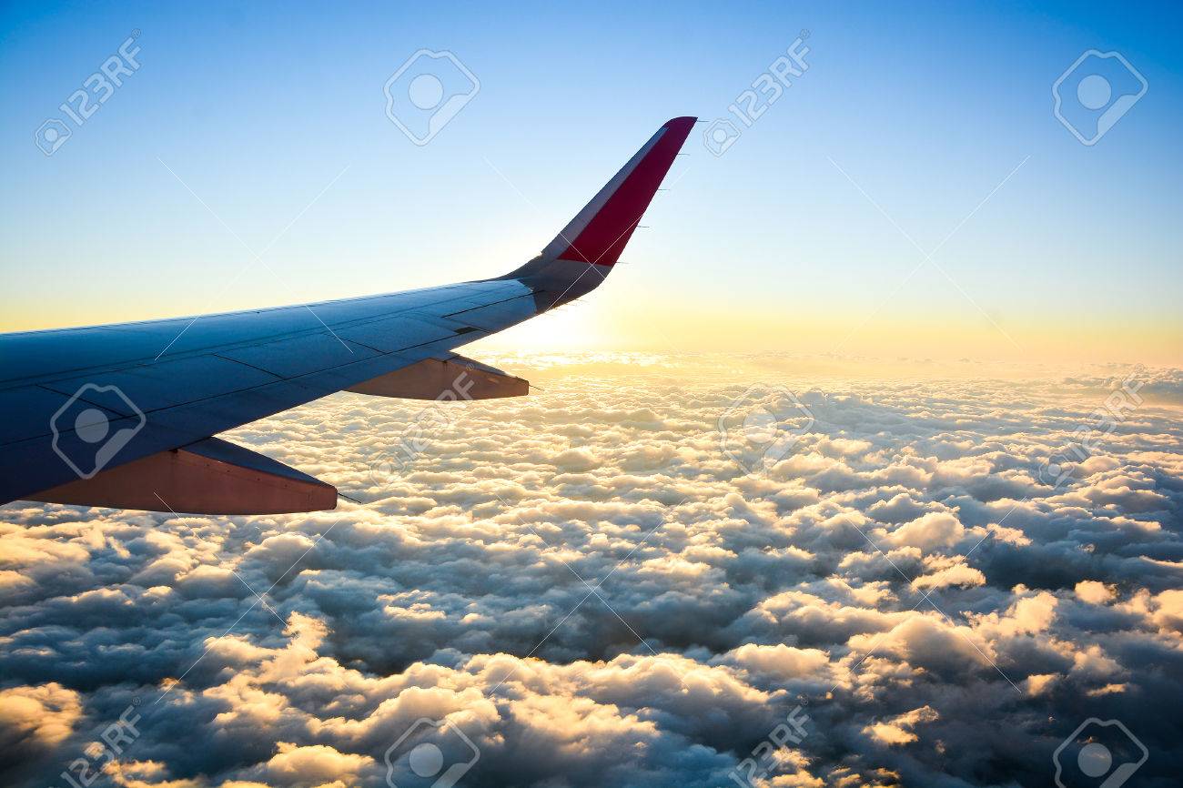 雲の上はいつも晴れ京都カワセミクラブblog