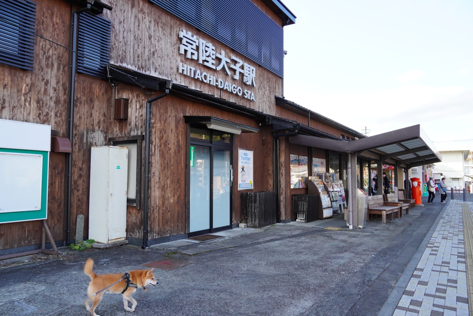 永源寺 もみじ寺 の紅葉情報 2025- ウェザーニュース