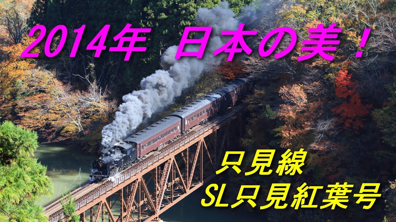 本格的象乗りトレッキング付き「世界自然遺産」カオヤイ 現地発格安ツアー予約の旅ランド