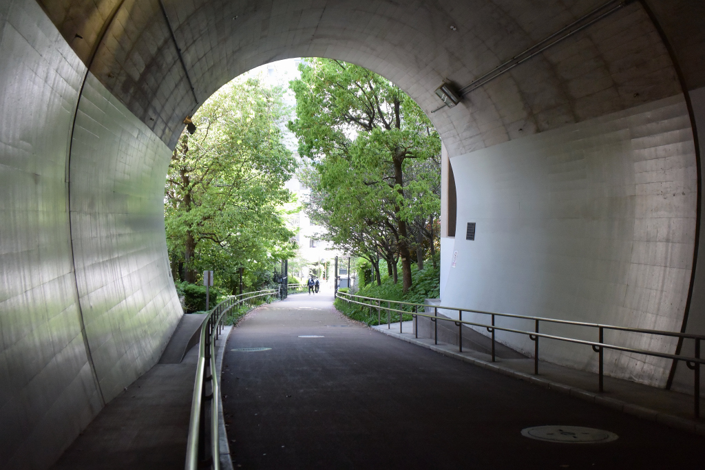 お散歩 東横フラワー緑道を歩いてみた。 - YouTube