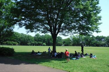 豊島区 子供とのピクニックにおすすめ、芝生やベンチのあるきれいな公園4選_池袋・雑司ヶ谷・東長崎 - asoviva