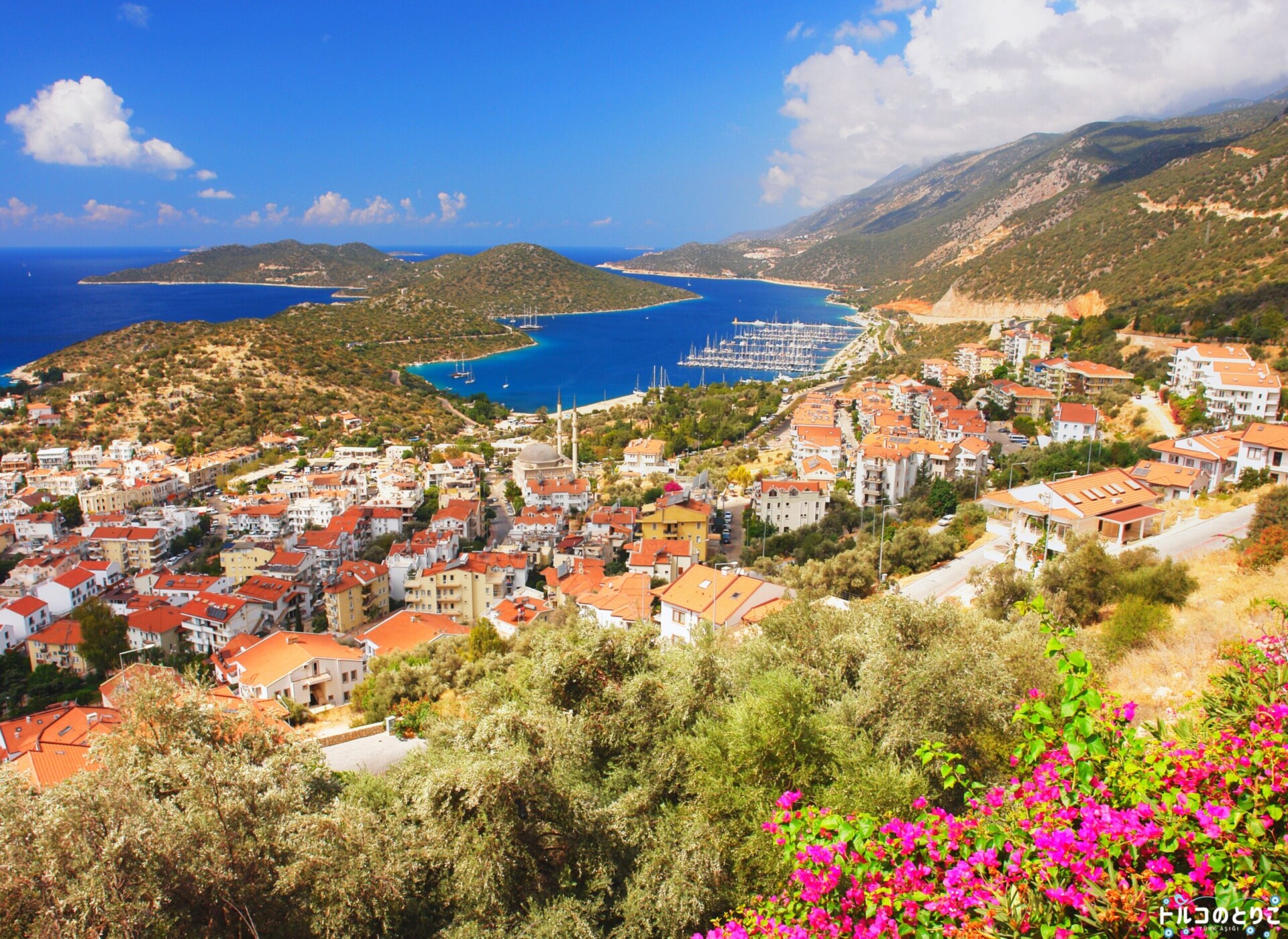 アンタルヤ 通貨とタクシー編ひよこよさんは豆鉄砲食らいました。inロシア→ポーランド