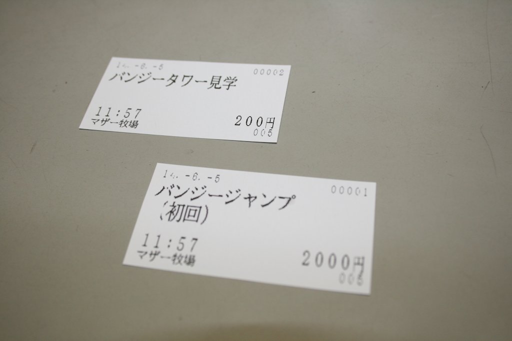 バンジージャンプ マザー牧場ソラトビ