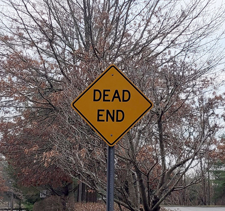 私は危険な場所でポケモンを探しません 捕獲禁止標識DesignデザインTシャツ通販 Tシャツトリニティ