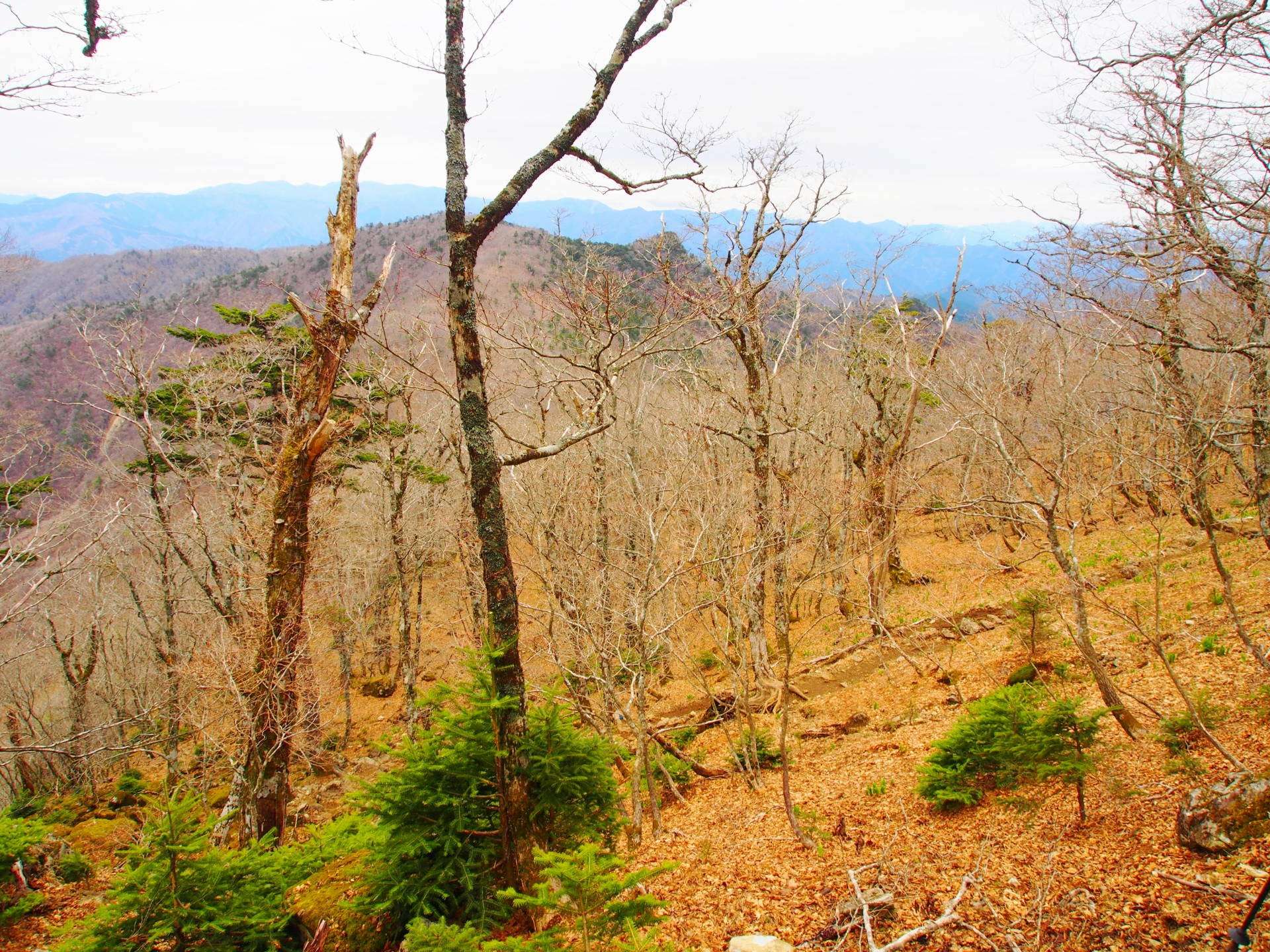 八経ヶ岳 2022年11月4日
