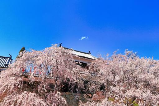 上田城 総合サイト - 上田市ホームページ