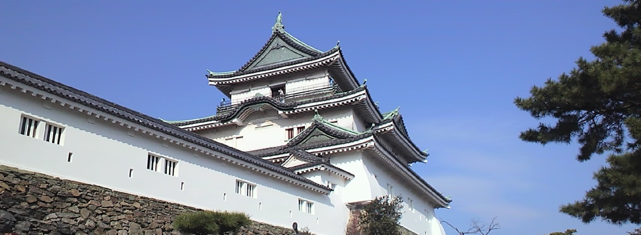 和歌山城天守閣の高さ海抜約72mを飛び越えようとする @miyabi1962 さんの投稿🏯 天守閣の建つ敷地までが海抜約49m、さらに天守閣が高さ約23mあります。大きく城を取り囲む堀や石垣は防御に優れ、過去の過去の記録では、紀州藩は外敵に攻め入られたことはありません