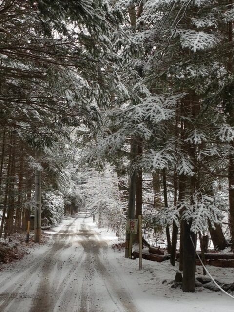 冬の軽井沢 ２月- まめうに日記