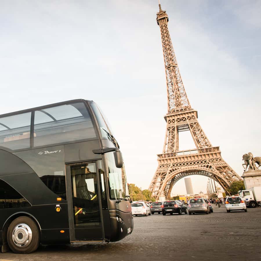 楽しみにしてた「バストロノーム」！ローズ・クリスタルのブログ