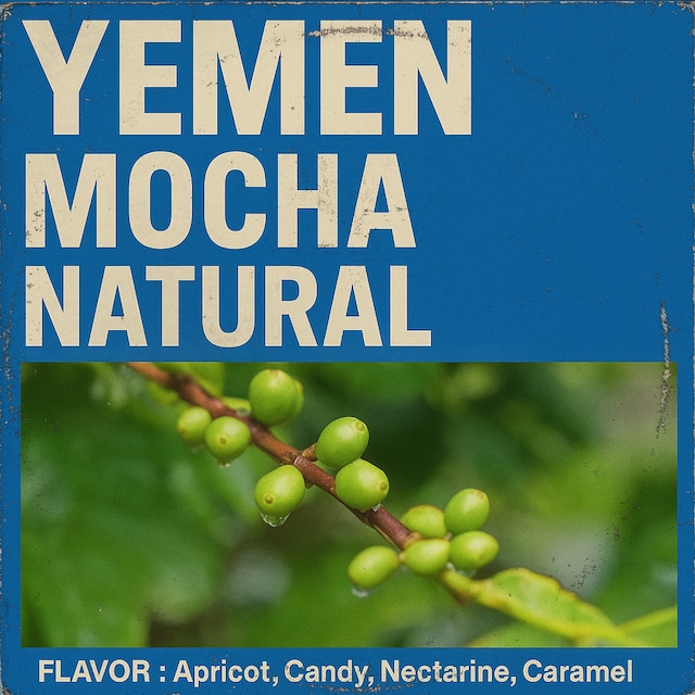 タンザニア ンゴロンゴロ アガワルファミリー ウォッシュ