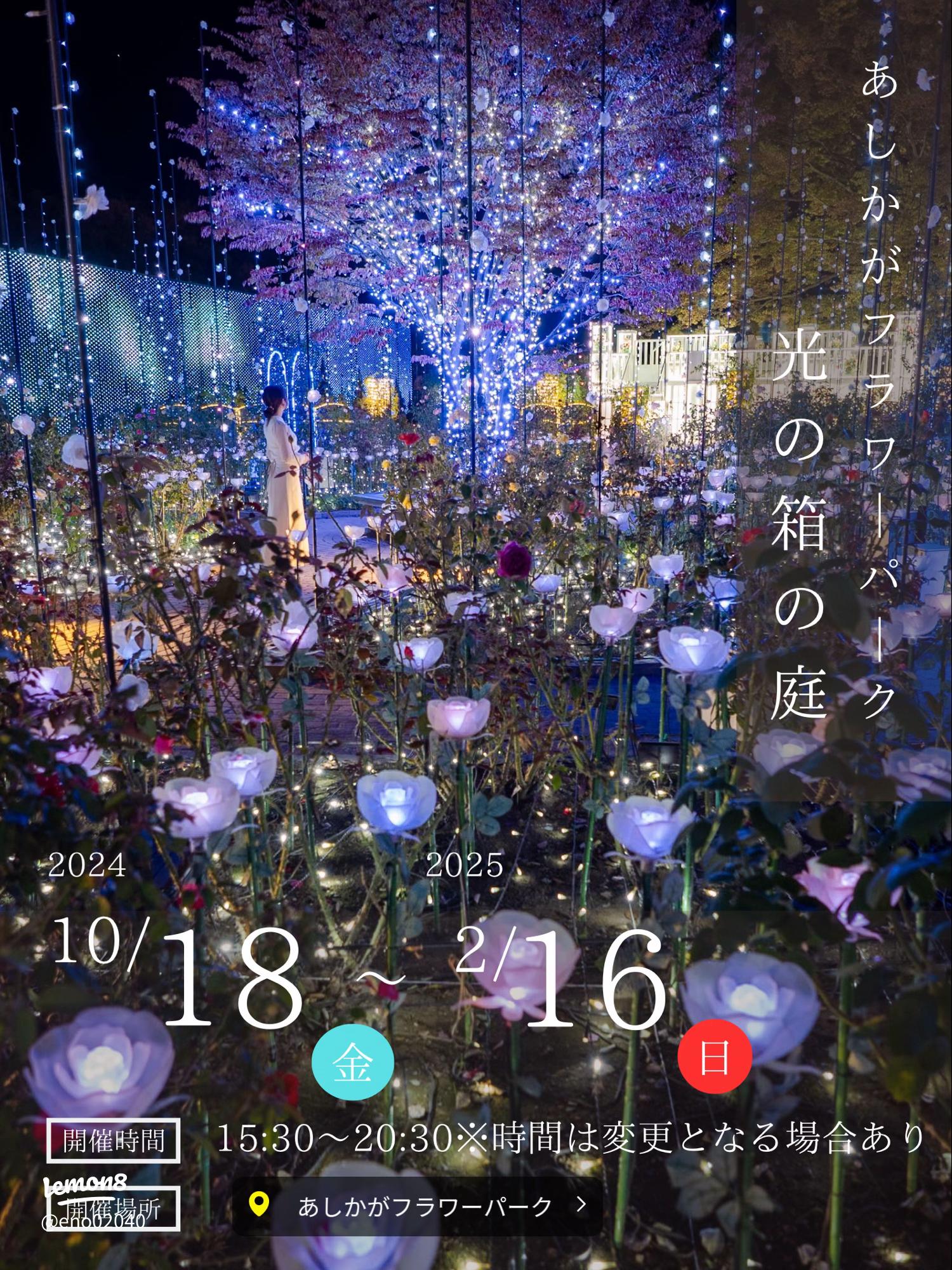 足利フラワーパークのイルミネーション！アクセス方法や入園料、日本三大の秘密に迫る♪東風＜こち＞