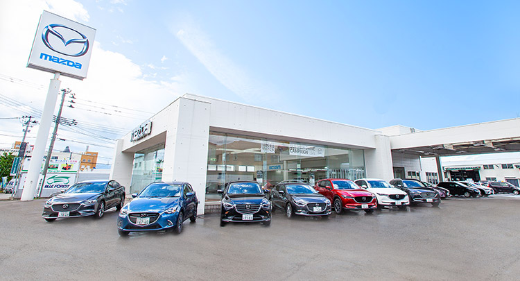 首都圏のプロフェッショナル人材を活用し、新車の効果的なプロモーションに成功。デュアルライフ東北・新潟