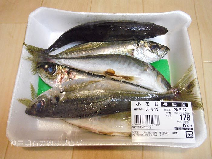 アジの締め方と保存方法Crazy Fishing