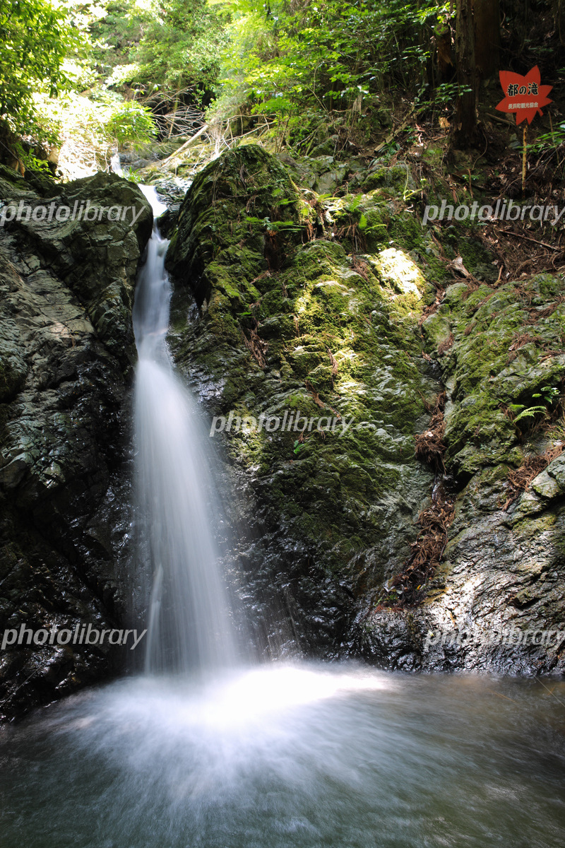 2020 大洲市白滝公園 紅葉狩り情報と陶人形夢わらべ掘り出し市のご案内白滝の四季