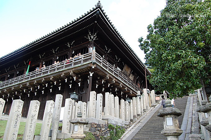 奈良公園 東大寺 に到着しました。ぎんがの郷小学校