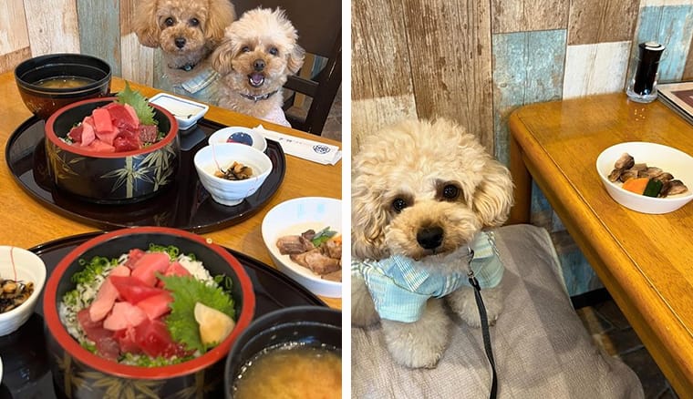 夏休みのプチ旅☆わんこと伊豆高原 ル・フィアージュで朝ごはんMAHALOHA mana