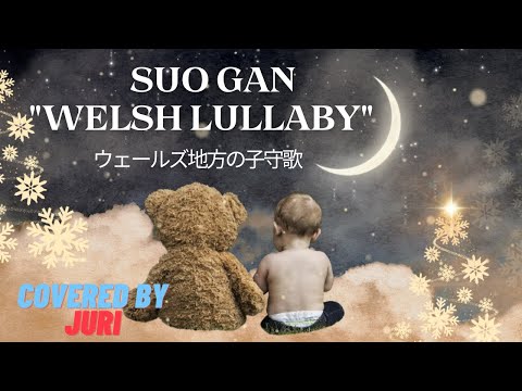 スコットランドやウェールズ、それにアイルランドはアングロ・サクソン人の国ではなく