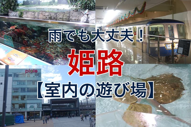 太陽公園 入園料クーポン- いわ