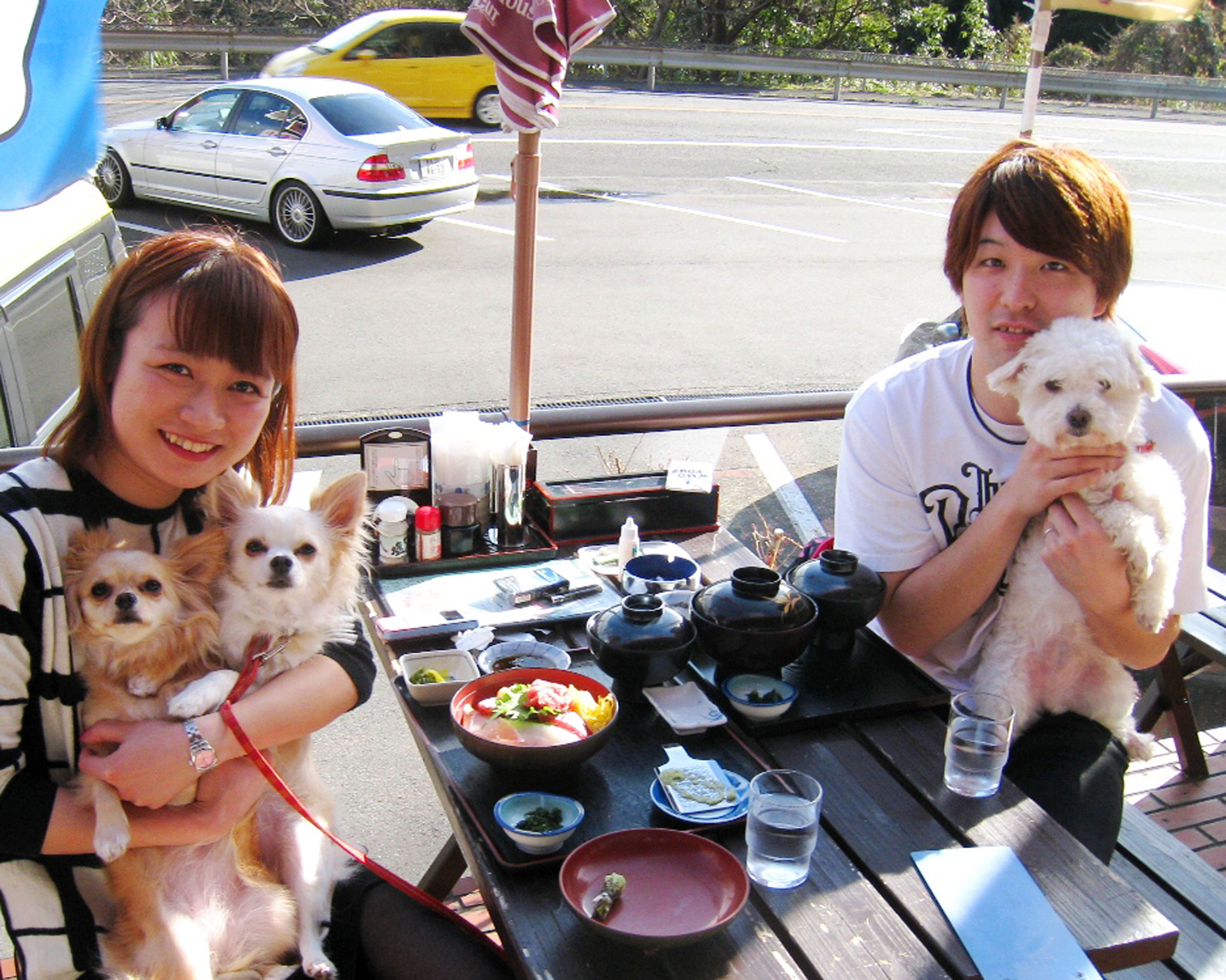 伊豆高原ビールうまいもん処 ペット同伴席！今日のワンコ！伊豆高原ビールうまいもん処伊豆高原ビール 伊豆旅行伊豆グルメ