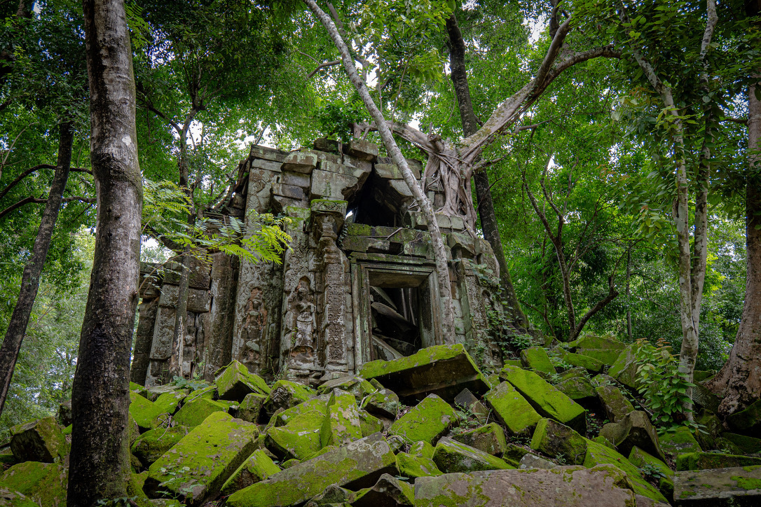 まるでラピュタの世界！カンボジアの秘境『ベンメリア遺跡』の行き方 完全ガイドちーたろうの旅育手帖