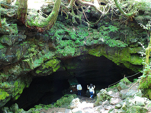忍野八海と西湖コウモリ穴・富士樹海の旅』忍野 山梨県 の旅行記・ブログ by こじ。さん