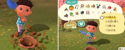 あつ森検証 果樹園を作るのに「1番効率が良い植え方」とは？検証してみた