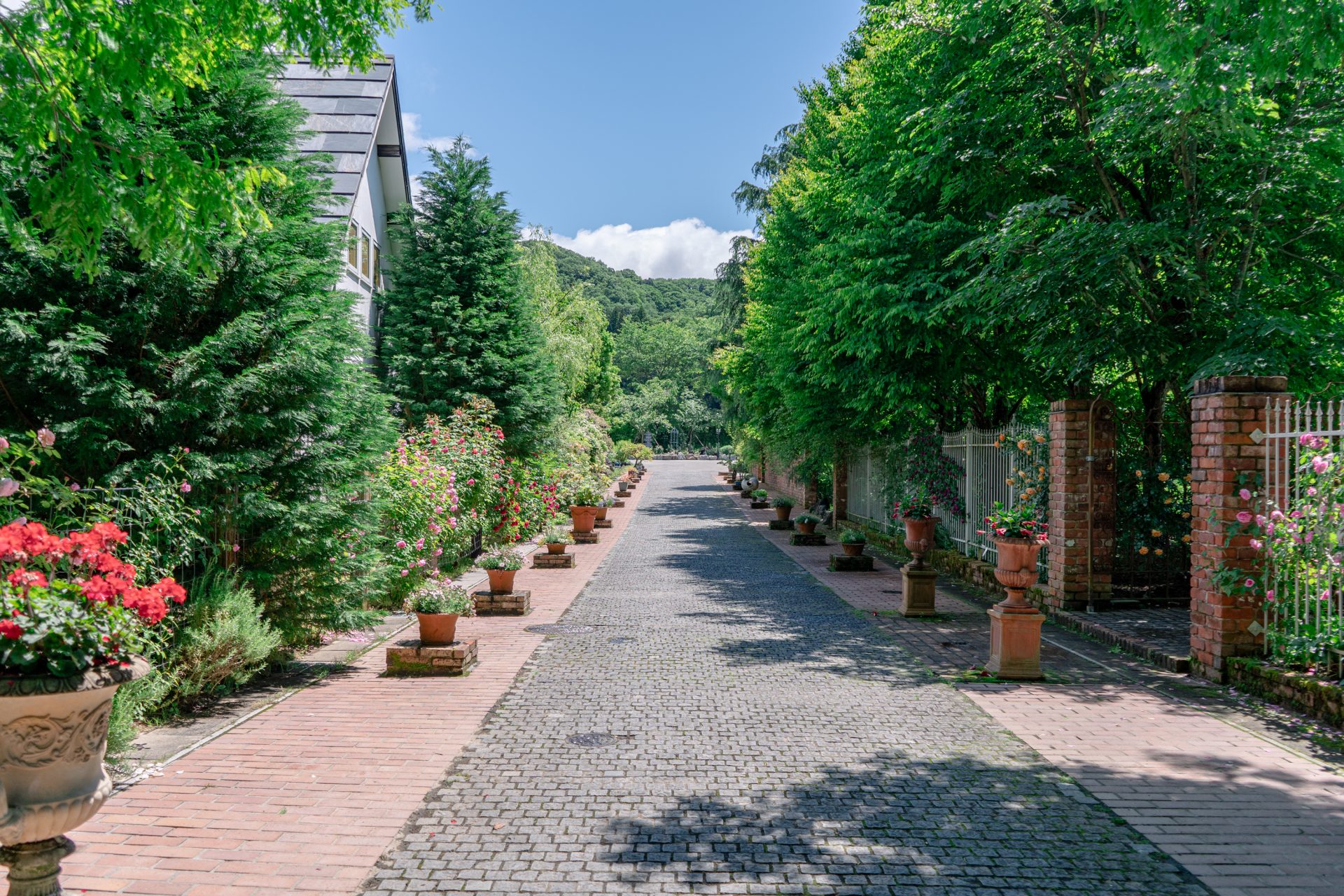 English Garden ローザンベリー多和田周辺観光情報 JTB