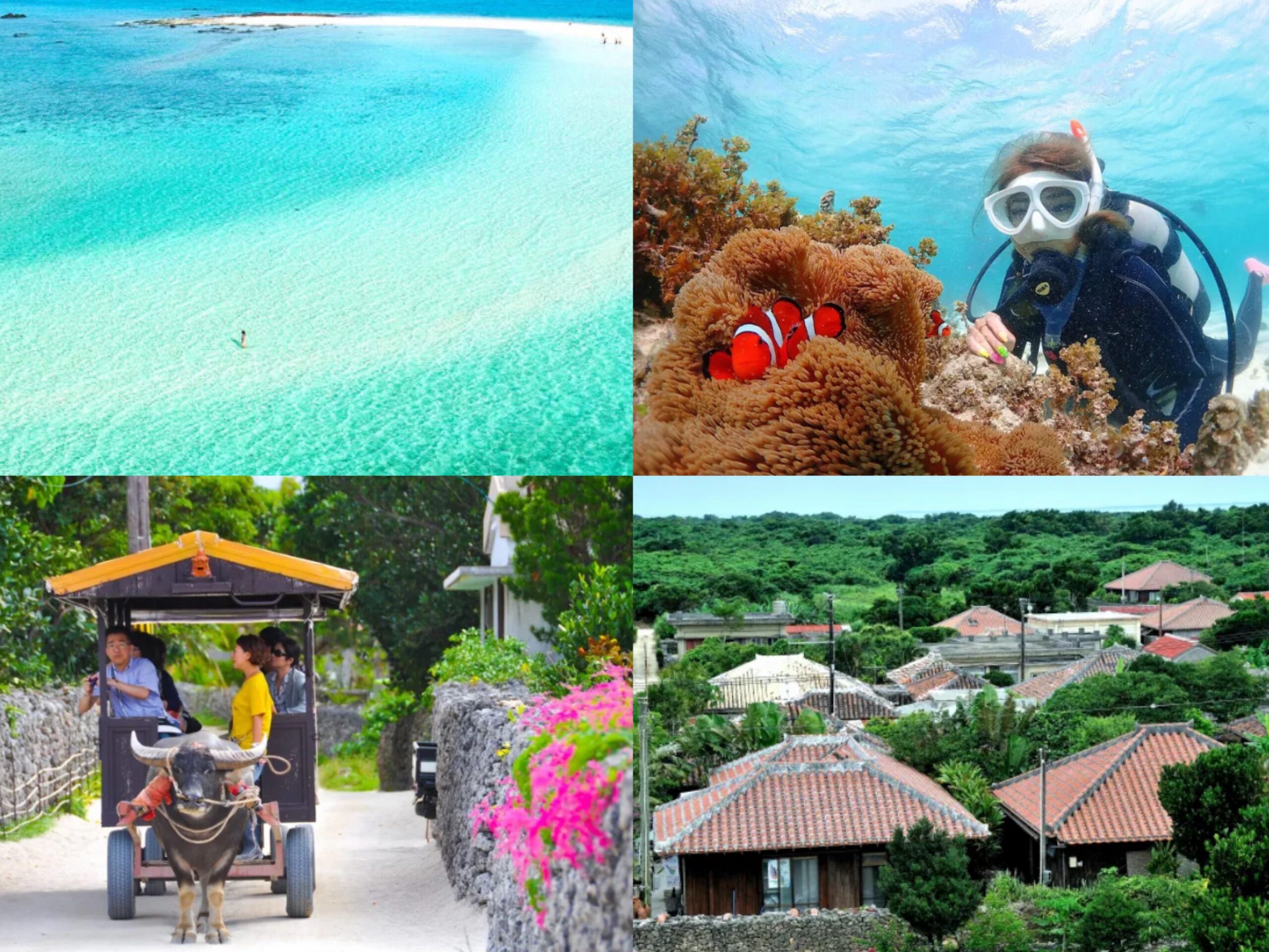 石垣島 1日_幻の島上陸とシュノーケリング＋竹富島フリー観光！お得なフェリー乗船券セット is-010沖縄トリップ現地ガイド厳選アクティビティ・ツアー予約はこちら