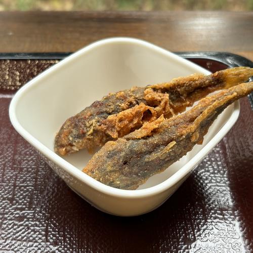 福井県永平寺～さぎり屋さんのアラレガコ・塩焼き～」パスタにチャオ！！ ~Foschia