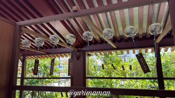 道後温泉別館 飛鳥乃湯泉 道後七夕物語2024～短冊に願いを込めよう～