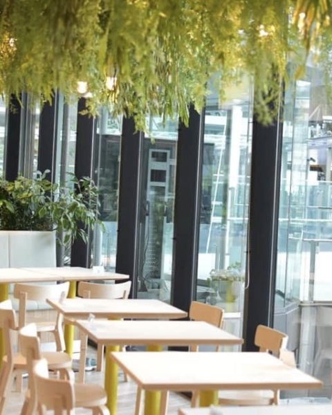 都会のオアシス！ 豊かな緑を望む大阪のレストラン＆カフェ3選旅色プラス