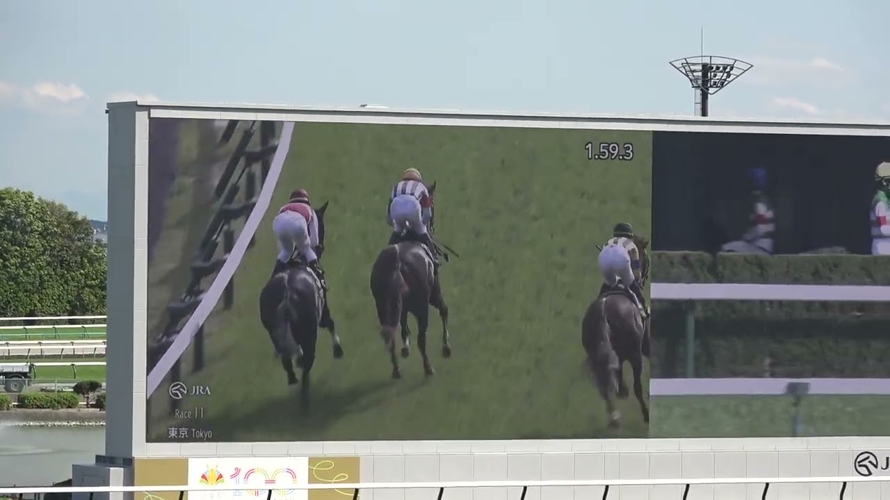 憧れのカラ競馬場』ダブリン アイルランド の旅行記・ブログ