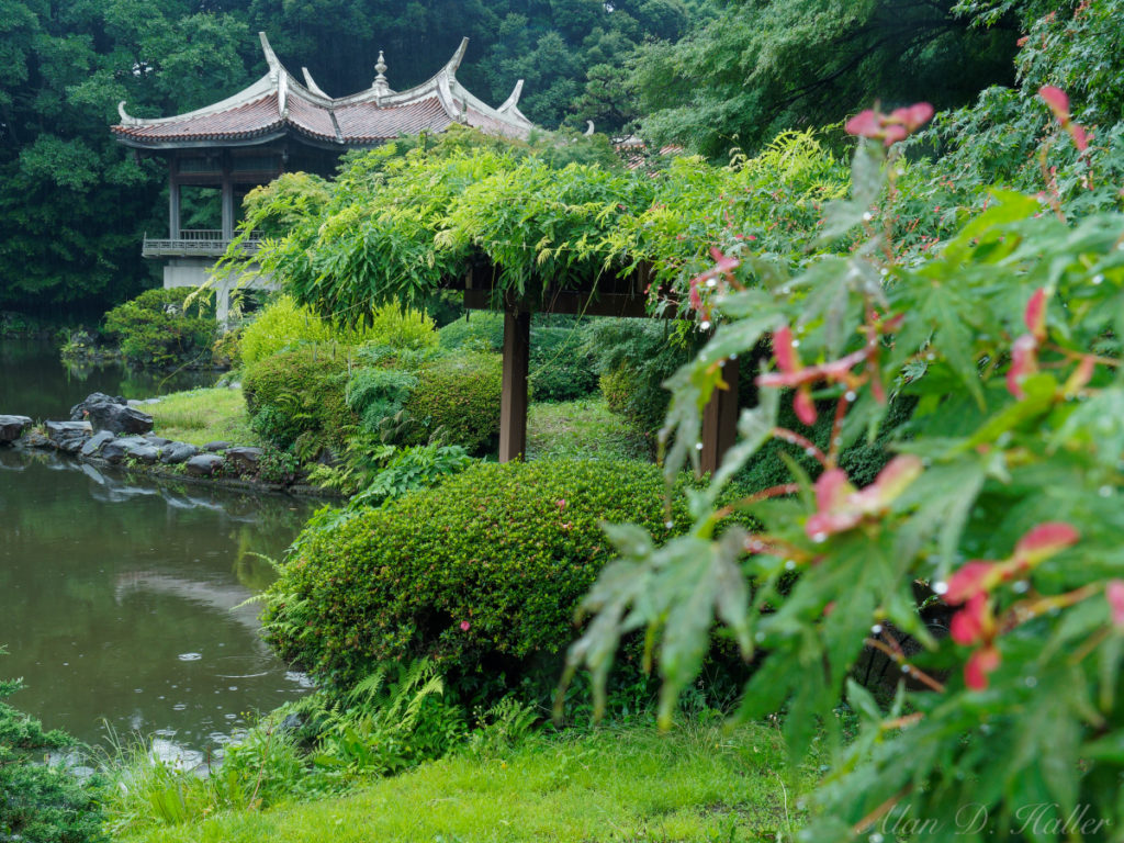 新海誠動畫取景地在這！東京人氣景點「新宿御苑」玩樂攻略 樂吃購！日本東京版