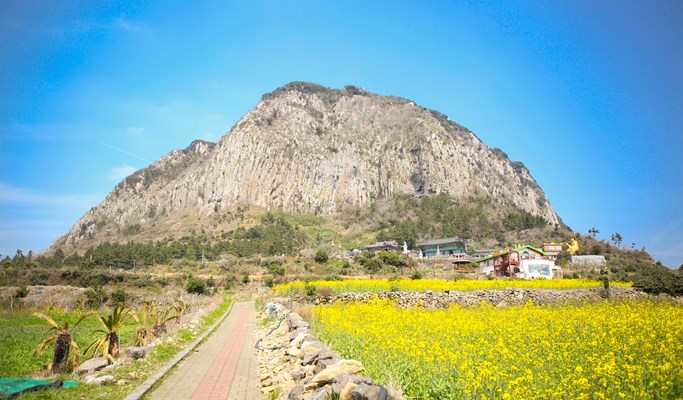 チェジュ島観光2泊3日モデルコース 漢拏山の登山がメイン