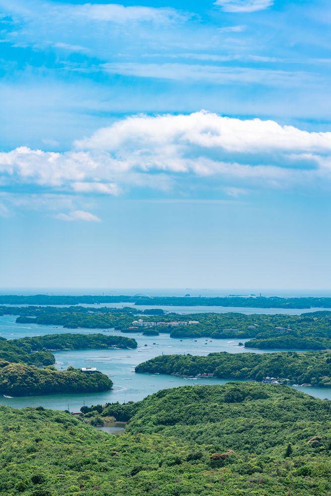 2025年 南海展望公園 -