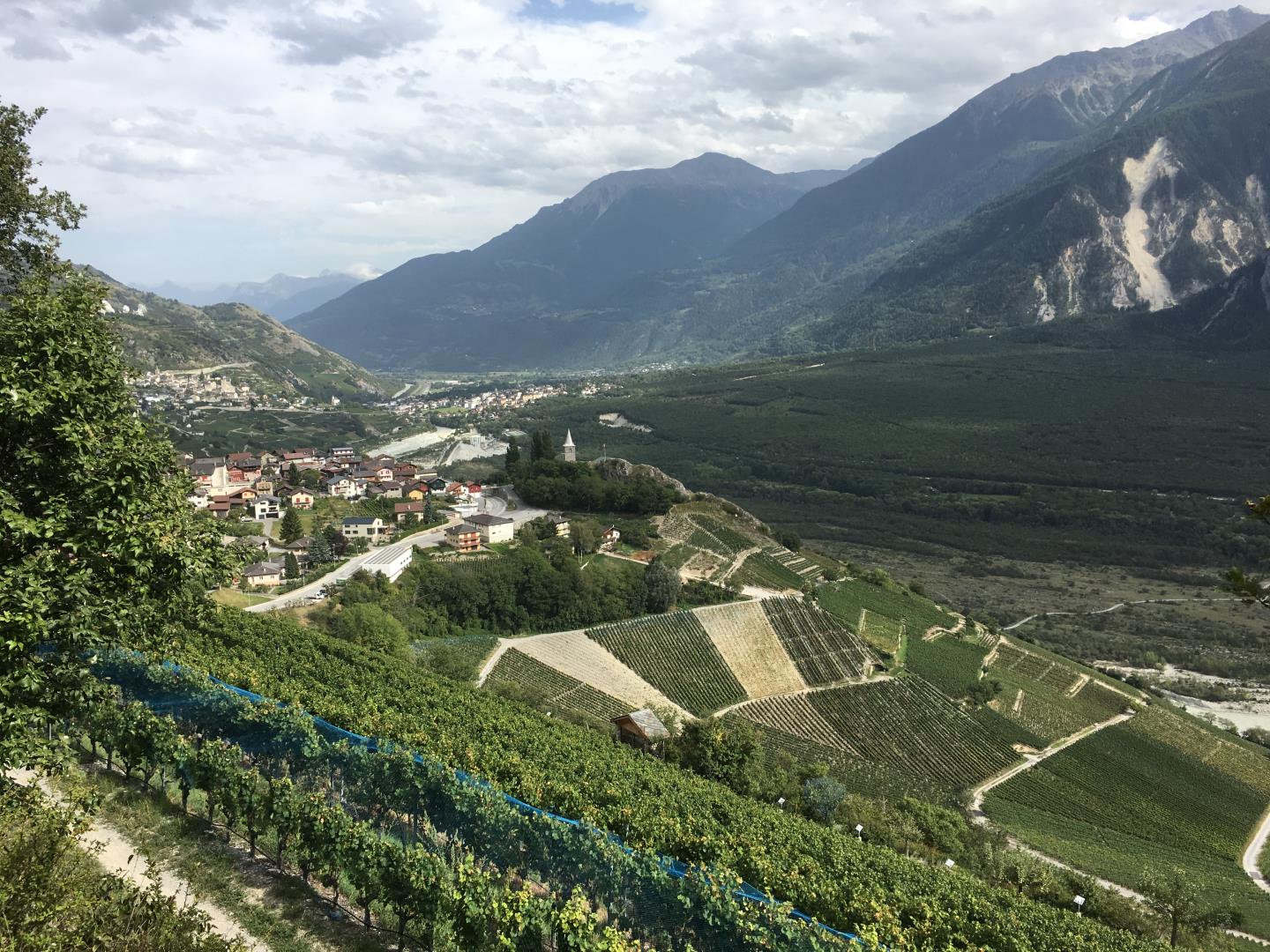 スイス・アルプスツアー：チューリッヒからユングフラウヨッホとベルナー・オーバーラントへ 2025