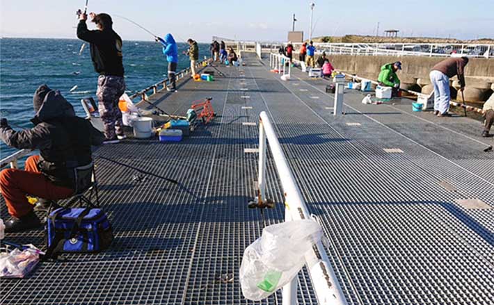 キララビーチ出雲観光ガイド 出雲観光協会公式ホームページ