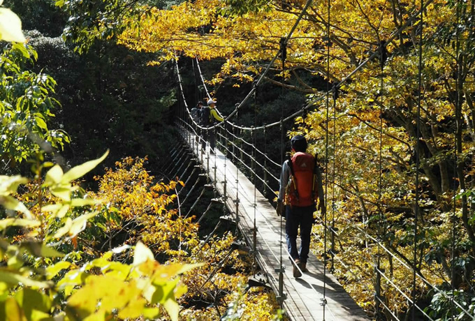 2025年の八経ヶ岳テン泊は下山後グルメツアー 2025-06-21_22_頂仙岳・弥山・八経ヶ岳 八剣山・仏経ヶ岳rockstepさんの 八経ヶ岳の活動データYAMAPヤマップ