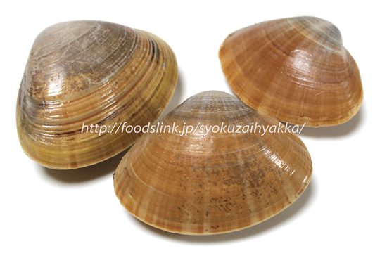 誕生日 プレゼント おしゃれ 沖縄 お土産