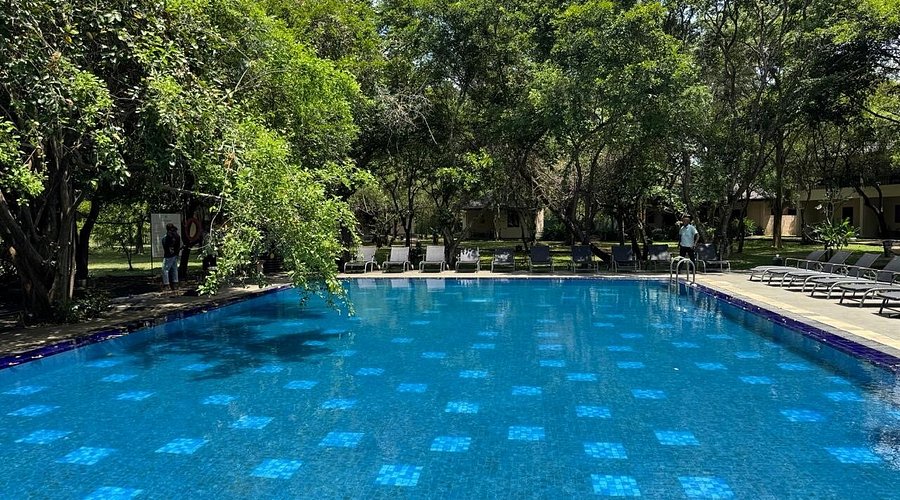 シギリヤで絶対泊まりたいホテル！宿泊ランキング10選 2025年