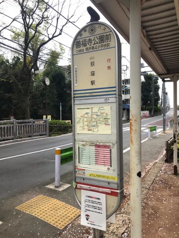 事件発生！？ - 善福寺公園めぐり